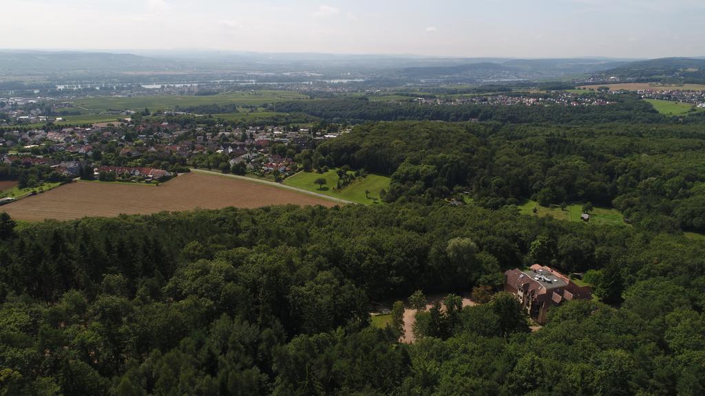 Hotel Bb Haus Neugebauer Garni Geisenheim Exteriér fotografie